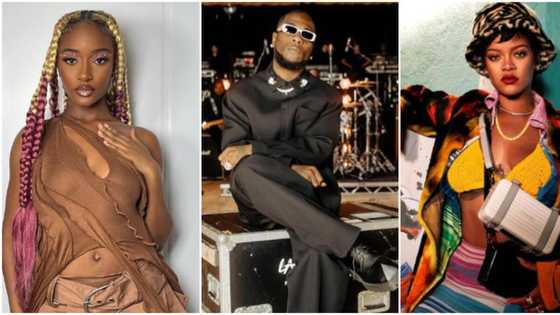 "Everybody wants Odogwu": Ayra Starr reveals dream collab list, mentions Rihanna, and others