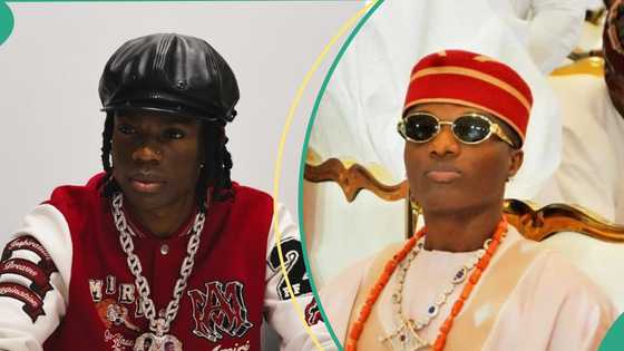 Wizkid: Man calls out singer over “fading” online presence as Davido, Burna, Tiwa Savage Surge ahead on IG