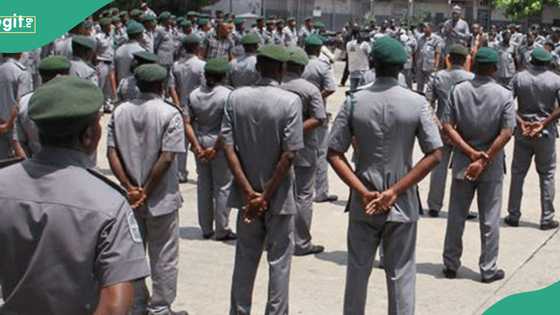 Customs announces 30 days free clearance as CBN adjusts rate to clear goods after dollar crashes