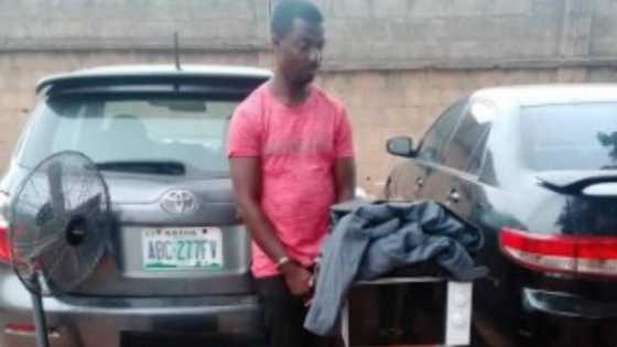 Yan Sanda Sun Cafke Wani Ɓarawo Da Aka Daɗe Ana Nema A Jihar Arewa, An Ƙwato Motocci Daga Hannunsa