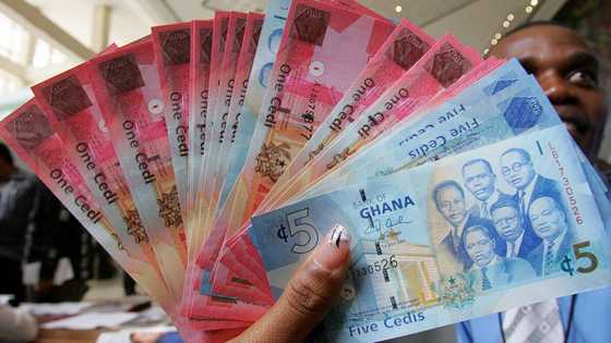 Ghana cedi bounces back, becomes world’s best-performing currency