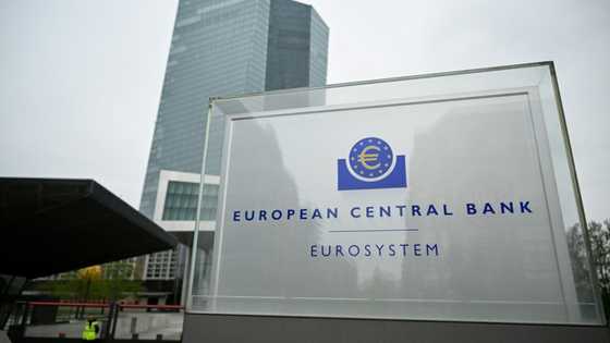 ECB expected to cut rates again as Trump trade war rumbles on