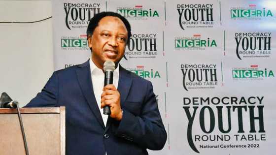 Presidency 2023: Shehu Sani reveals the only way a southerner can succeed Buhari