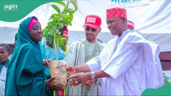 Abba Kabir ya kaddamar da muhimmin aikin da zai inganta yanayi da noma a Kano