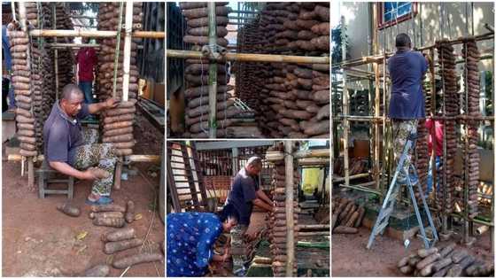 Former Nigerian deputy governor starts farming, shows off his yam barn in photos, many people react
