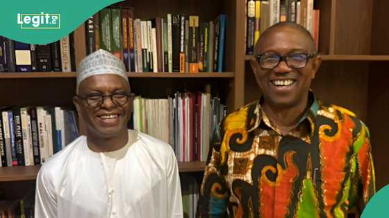 2027 election: Peter Obi visits El-Rufai in Abuja as photo, details emerge