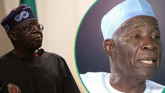 Makusancin Kwankwaso, Buba Galadima ya hango illar saukar farashin abinci