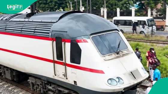 Driver miraculously escapes as train crushes his car