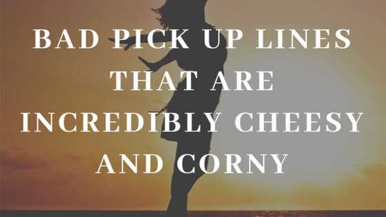 Use these bad pick up lines and you will not regret