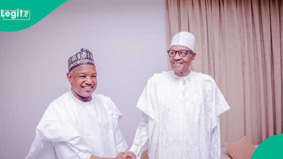 'Babu kuɗi': Yadda Buhari ya roƙi gwamnoni su tara N700m kafin ya biya su daga baya