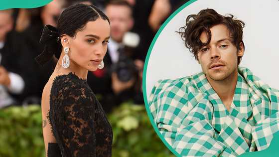 Harry Styles and Zoë Kravitz's relationship timeline, from sparks to headlines