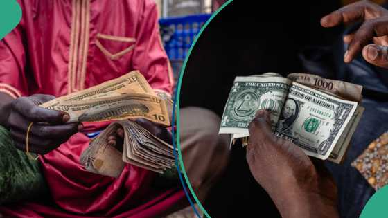 Naira remains stable in official window as Tinubu predicts new exchange rate for 2025