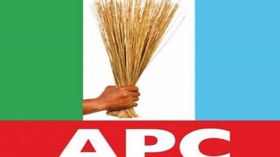 List of 30 aspirants that have obtained APC 100million nomination forms, their regions