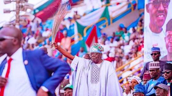 2023: Catastrophe looms in APC as influential chieftain makes terrible prediction on Tinubu's candidacy