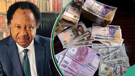 Naira/dollar exchange rate: Shehu Sani speaks on present ship ‘that is floating’