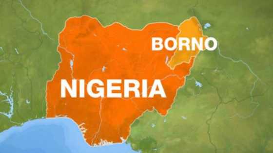 Breaking: Brigadier General gunned down as ISWAP terrorists ambush soldiers in Borno