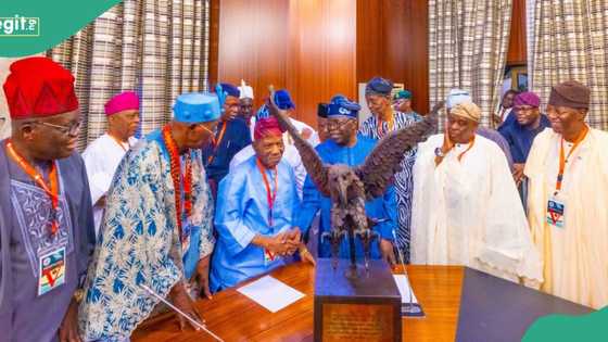 BREAKING: Amid Yoruba Nation agitation, Tinubu meets Afenifere leaders, details emerge