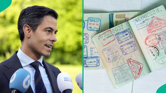 Netherlands lists 6 categories of foreigners eligible for humanitarian resident permit