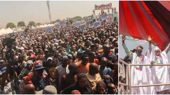 APC rally: Content of Tinubu's prepared speech that he abandoned in Minna leaks