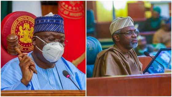 SERAP sues Lawan, Gbajabiamila over failure to probe missing N4.1 billion NASS funds