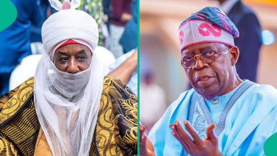 Sanusi II ya yabi CBN da Tinubu, ya kawo hujjojin fitowa daga kangin tattalin arzik