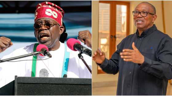 2023 Election: Real reason ‘why Peter Obi couldn’t beat Tinubu’, ex-Federal commissioner speaks