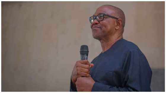 Huge tragedy, Peter Obi’s political mentor, Nwobu-Alor is dead