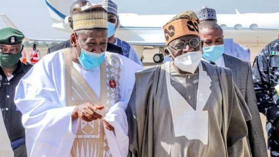 Kano group says there is no better candidate for 2023 than Tinubu