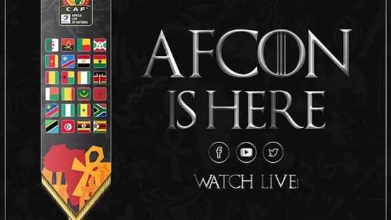 Top details about 2019 AFCON: teams, date fixtures, and tables