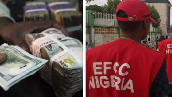 EFCC raids Bureaux de change offices in Abuja as Naira exchanges above N800
