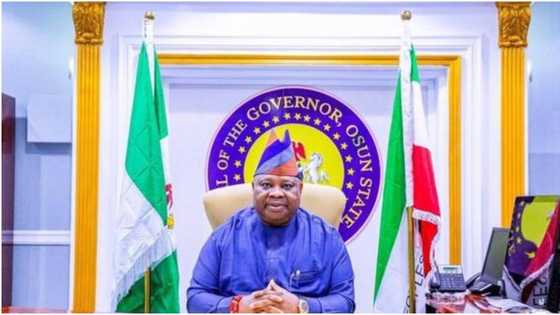 Just in: Powerful PDP governor declares work-free day, gives reason