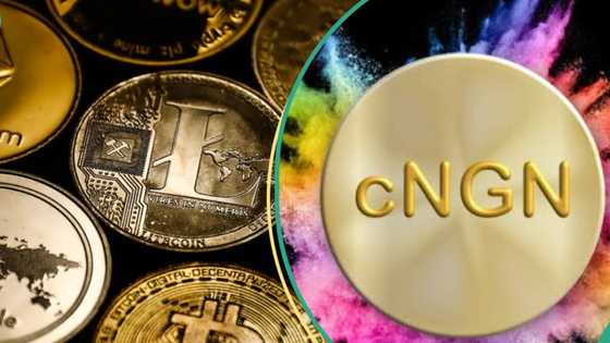 Nigerian banks, fintechs postpone launch of cNGN stablecoin, give reasons