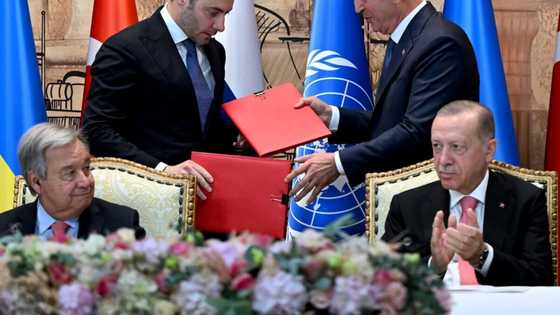 Russia, Ukraine seal landmark grain deal in Istanbul