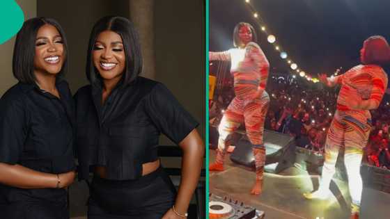 "Dem wear Spiderman costume?" BBNaija's Wanni, Handi dance barefooted, perform in Lagos, clip trends