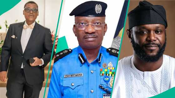 “Dem no born him well!”: Arise TV’s Rufai Oseni dares IGP to cut Seyi Tinubu’s security