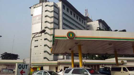 Customs to NNPC: Set up filling stations in neighbouring countries