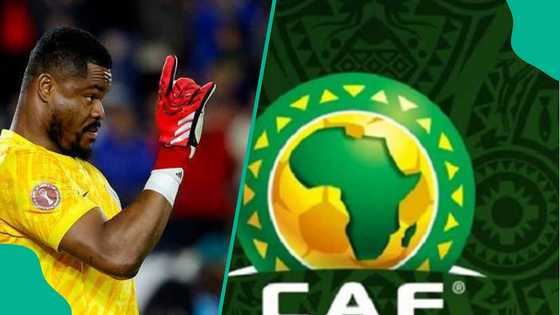 AFCON 2025: Super Eagles goalkeeper Stanley Nwabali could face CAF sanction