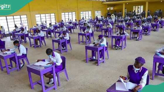 “I don’t want to miss admission”: Anxiety as students, parents await release of NECO results