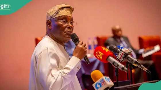 Atiku reacts as court stops CBN from releasing allocation to Rivers: "Warning was ignored"