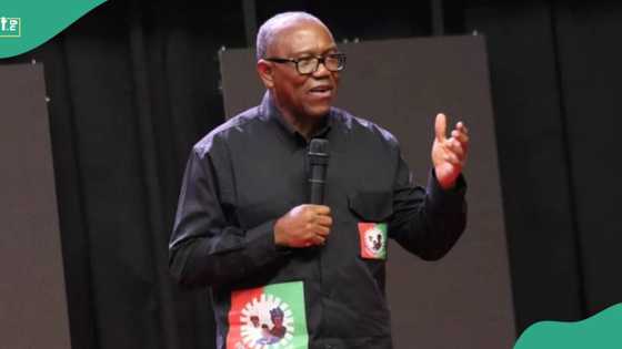 Just In: Peter Obi Speaks on dumping Labour Party amid internal crisis