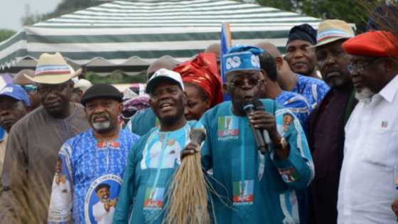 2023 Presidency: Why zoning cannot stop Bola Tinubu's ambition - Former minister