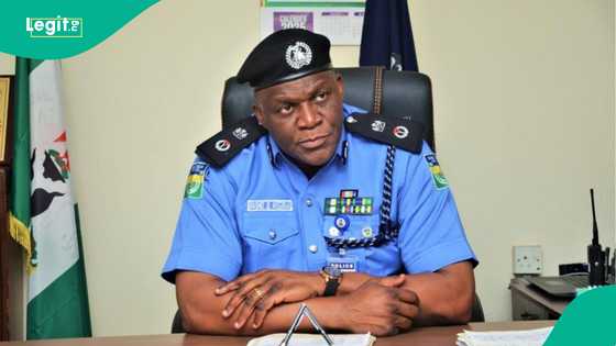 'Na dauka biri ne': Mafarauci ya bindige mata har lahira da ya hango ta kan bishiya