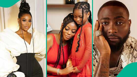 "I have not received child support from Davido": Sophia Momodu alleges, addresses false narratives