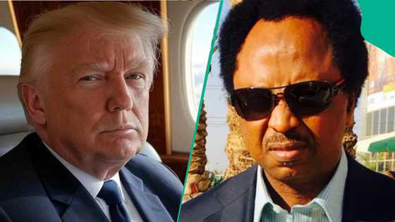 Shehu Sani reacts as US slams new visa restrictions on Nigerians, others