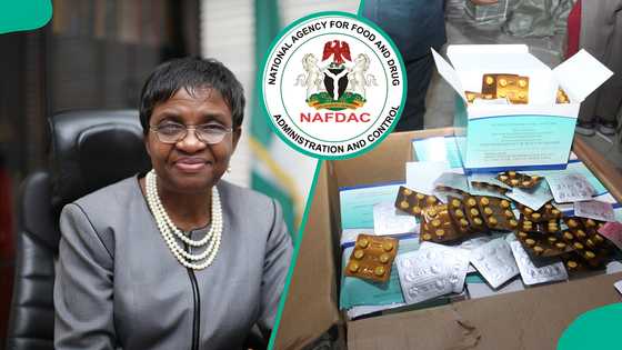 NAFDAC busts fake malaria drugs shipment worth N1.2bn falsely declared as spare parts