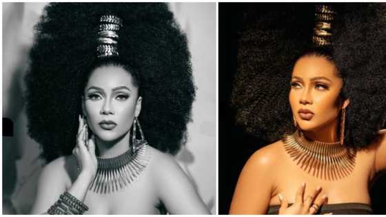 BBNaija star Maria dazzles in gorgeous new photos, fans say "it's giving goddess"