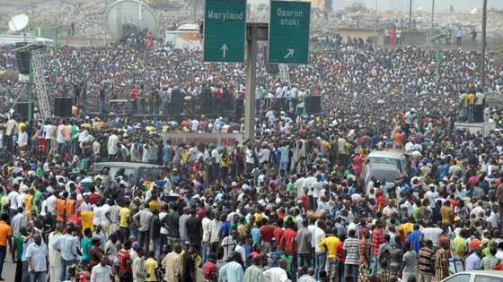 Stakeholders brainstorm as Nigeria Health Watch hosts IntegrateE Project media roundtable