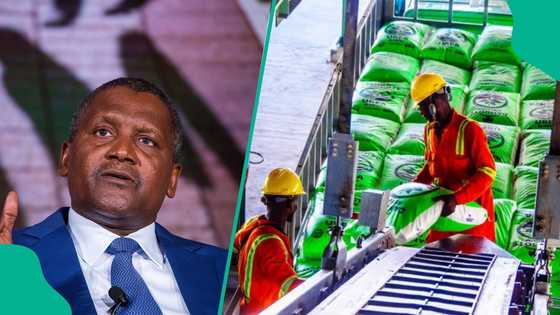 Dangote projects Nigeria to become world’s top fertiliser producer by 2028