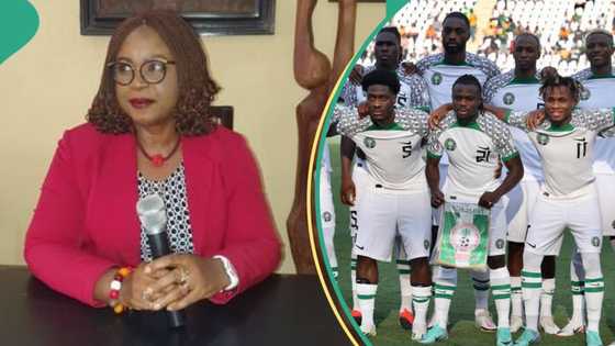 Nigeria vs Ivory Coast: It'll cost me 5 months’ salaries to watch AFCON final, law professor laments