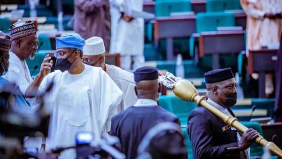 10th NASS: Reps to declare war against drug abuse, details emerge